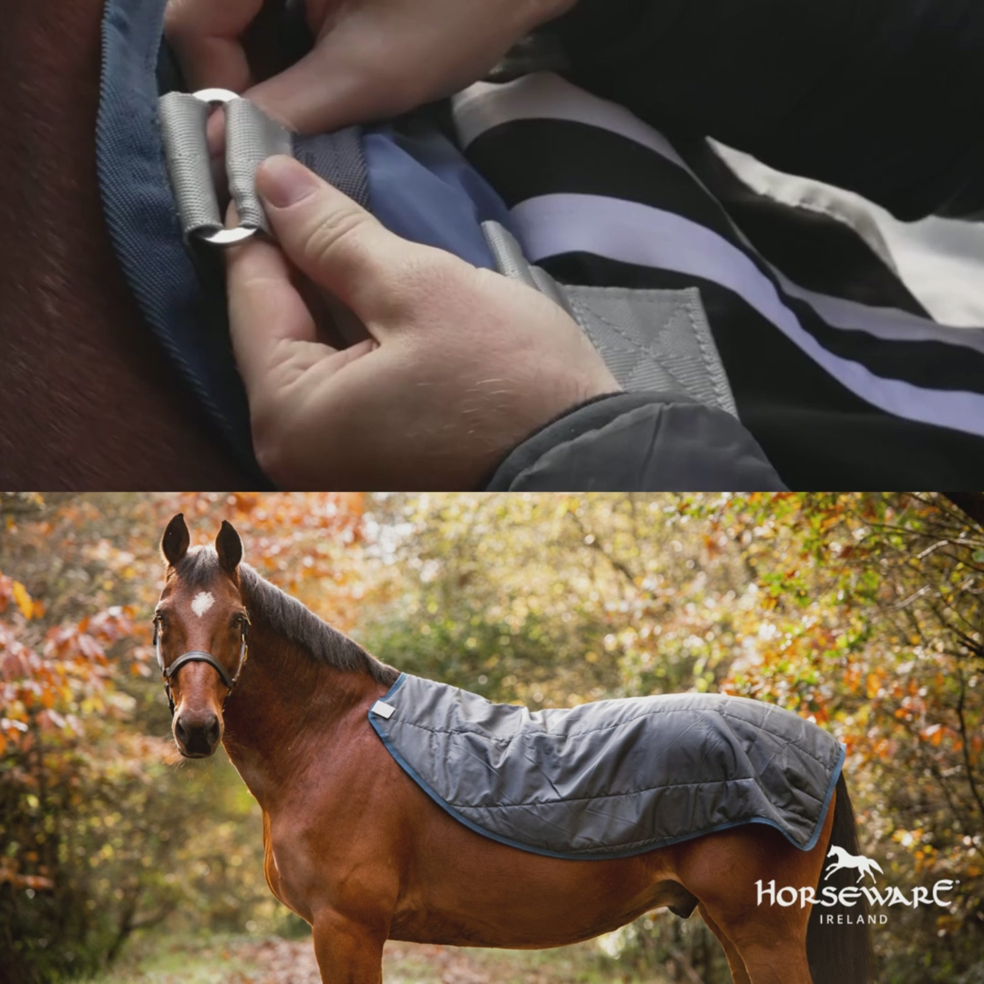 Rambo Autumn Series Turnout w100G Liner